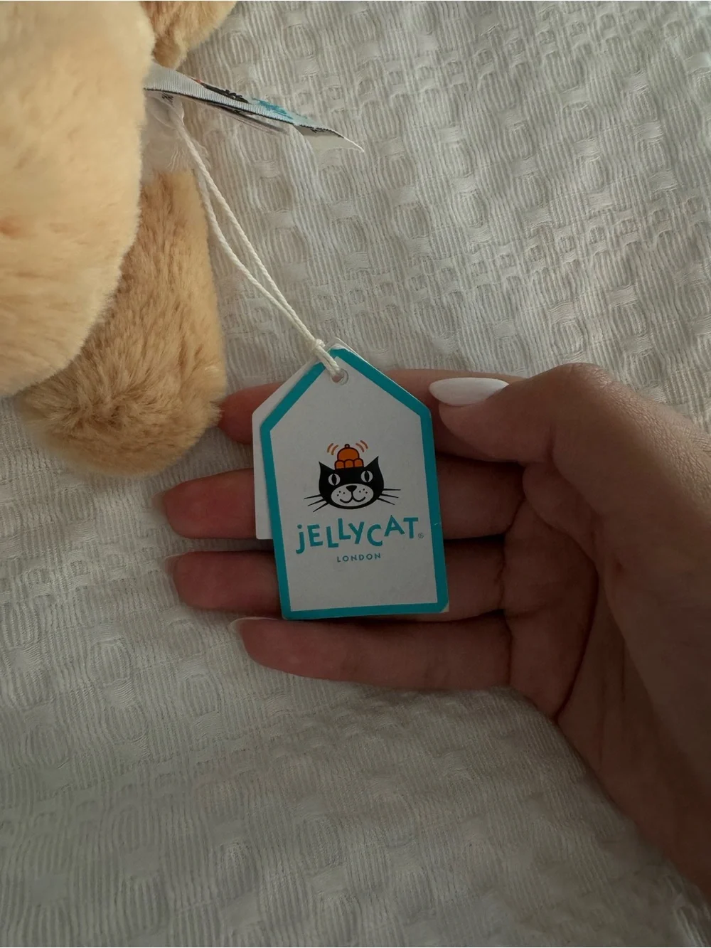 Jellycat - Tan and White Corgi Stuffed Animal